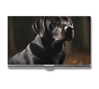 AQRJLPM Black Labrador Business Card Holder Business Card Case Pocket Card Holders Metal Slim Name Card Holder Professional Multi Wallet Credit Card ID Case for Men Women, silver, One Size