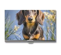 AQRJLPM Pad Dachshund Business Card Holder Business Card Case Pocket Card Holders Metal Slim Name Card Holder Professional Multi Wallet Credit Card ID Case for Men Women, silver, One Size