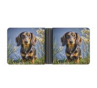 AQRJLPM Pad Dachshund Wallet with Money Clip Leather Bifold Wallet Slim Credit Card Holder Gift for Men