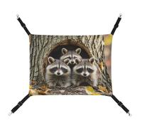 AQRJLPM Raccoons in The Fall Tree Hole Pet Hammock with Adjustable Straps and Metal Hooks Hanging Bed Soft Breathable Sleeping Hammock for Cats,Puppy,Rabbits,Small Animals