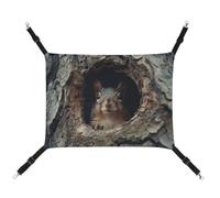 AQRJLPM Squirrel in The Tree Hole Pet Hammock with Adjustable Straps and Metal Hooks Hanging Bed Soft Breathable Sleeping Hammock for Cats,Puppy,Rabbits,Small Animals