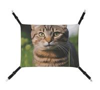 AQRJLPM Tabby Cat on The Grass Pet Hammock with Adjustable Straps and Metal Hooks Hanging Bed Soft Breathable Sleeping Hammock for Cats,Puppy,Rabbits,Small Animals