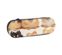 AQRJLPO Pomeranians Pattern Print Leather Pencil Case Organize, Multi-Use Travel Cosmetic Bag, Zipper Desk Storage Box Compact Gift for School, Office, Travel
