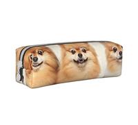 AQRJLPO Pomeranians Pattern Printed Leather Simple Pencil Case, Cute Pencil Bag Pen Case Pouch, School Stationery Organizer Makeup Bag for Boys Girls Students
