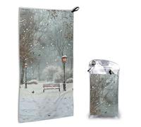AQRJLPO Snow Falling in The Park Print Microfiber Quick Dry Hand Towel 40x80 CM, Compact Lightweight Sports Towel with Carabiner & Carry Bag for Gym, Beach, Camping, and Travel