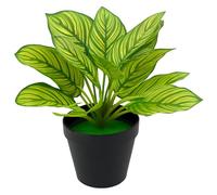 AQS INTERNATIONAL - Peacock Plant Realistic Large Artificial Trees Potted 30cm - Faux Green Plants, Fake Leaf, Modern Decorative Pots for Home, Living Room, Office, Indoor & Outdoor Garden