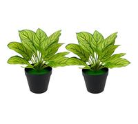 AQS INTERNATIONAL - Set of 2 Peacock Fake Plant 30cm Artificial Tree Potted, Realistic Plants, Fake Leaf, Modern Decorative Green Plant For Home Living Room Office, Indoor Outdoor Garden