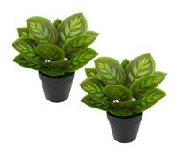 AQS INTERNATIONAL - Set of 2 Red Dragon Fake Plant 30cm Artificial Tree Potted, Realistic Plants, Fake Leaf, Modern Decorative Green Plant For Home Living Room Office, Indoor Outdoor Garden
