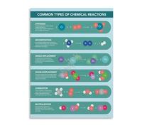 AQSOAEOJ Chemical Reactions Chart Science Poster Chemistry Classroom Decor Educational Canvas Wall-Art for Study Room(Unframed,16x24inch(40x60cm))