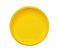 Aqua Art Paper and Board Screen Printing Inks (Medium Yellow, 100g)