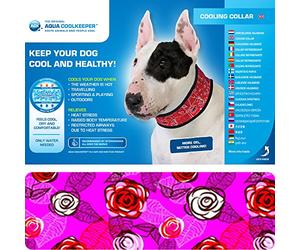Aqua Coolkeeper collar roses s