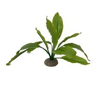 Aqua Della, 2.24cm Green Artificial Flexible Plastic Plant Echodorus - Strong Base - Provides Scales and Places of Reproduction - Suitable for Aquariums and Terrariums