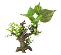 Aqua Della Aquarium Decoration Plant Landscape For Ornamental Fish Safe