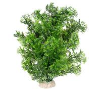 Aqua Della Aquarium Plant Phoenix Dark Green 30 Cm, For Aquarium & Terrarium