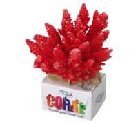 Aqua Della Coral Module Acropora Red 11.5x10.5x9Cm Decoration For Aquarium