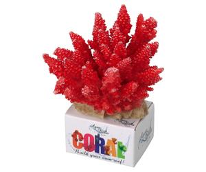 Aqua Della Coral Module Acropora Red 11.5x10.5x9Cm Decoration For Aquarium