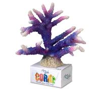 Aqua Della Korallenmodul Staghorn Coral Purple 17x16, 7x13cm Zierfischdeko