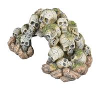 Aqua Della Skull Cave For Aquariums 24X17.3X13 Cm Decoration For Fish