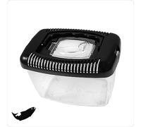 Aqua Della, Transport Box 9 x 12 x 13.5 cm, for Fish, Insects, Rodents, Reptiles, Amphibians, with Handle, Safety Door with Magnifying Glass, Non-Slip Feet, Ideal for Transportation