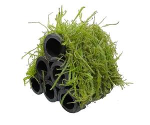 Aqua Essentials Java Moss Shrimp Shelter