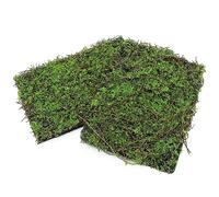 AQUA KT Reptile Plant Background for Terrarium Habitat, Pack of 6