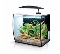 Aqua One Arc 46 Glass Aquarium Curved Design 46L, Blue