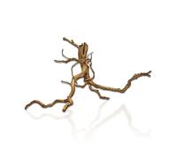 Aqua One Azalea Wood and Root Aquarium Decorations-Root 50-60cm