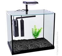Aqua One Betta Oasis 13L Aquarium with LED, Heater and Filter. 31x20x26cm
