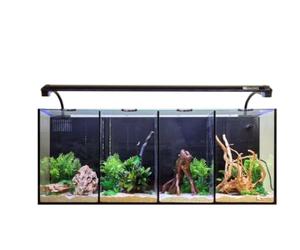 Aqua One Betta Quad Glass Aquarium 60L