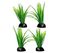 Aqua One Ecoscape Foreground Lilaeopsis 4pk Green