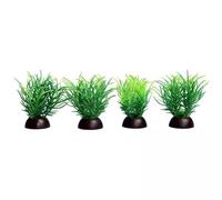 Aqua One Ecoscape Foreground Ricca 4pk Green