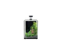 Aqua One Focus 23 Glass Aquarium 23L 30x22x41cm Black