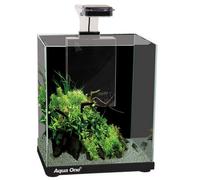 Aqua One Focus 23 Glass Aquarium 23L 30X22X41Cm Black Fish Tank