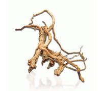 Aqua One Natural Wood Azalea Root 20 - 30Cm
