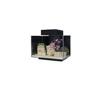 Aqua One PLATFORM 21 Aquarium Fish Tank 40cm 21L