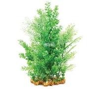 Aqua One Vibrance - Wisteria/Bacopa Aquarium PLant (XL) 28222