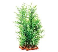 Aqua One Vibrance Wisteria with Gravel Base Aquarium Plant, X-Large