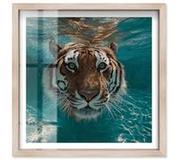 Aqua Tiger I Shadowbox Print Tiger Wall Decor by Notoriart, Blonde Frame, 25 x 25