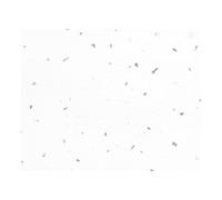Aqua Wall Panels Aqua 1000 PVC White Sparkle Wall Panel 1000 x 2400mm