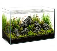 Aquacadabra 54L Glass Aquarium 60 x 30 x 30cm Aquascape Starter Tank