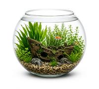 Aquacadabra 5L Glass Goldfish Bowl Fish Tank Vase 23cm Clear Aquarium