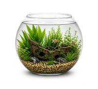 Aquacadabra 7L Glass Fish Bowl - 25cm Clear Glass Aquarium