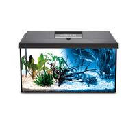 Aquael Leddy 60 Day & Night Aquarium Kit - Black