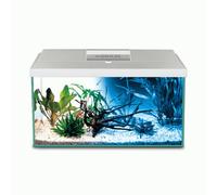Aquael Leddy 60 Day & Night Aquarium Kit - White