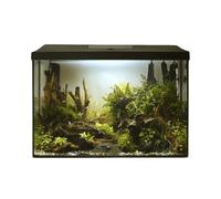 Aquael Leddy Aquarium 60 Xl Tall 72 Litre Fish Tank