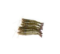Aquahawk Frozen Raw Head- Shell on Black Tiger Prawns 1kg