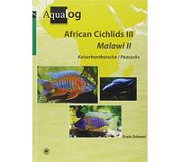 Aqualog African Cichlids III, Malawi II - Peacocks