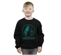 Aquaman Aqua Logo Sweatshirt DC Comics Black 12-13 Years