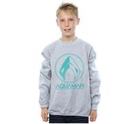 Aquaman Aqua Logo Sweatshirt DC Comics Grey 5-6 Years