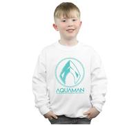 Aquaman Aqua Logo Sweatshirt DC Comics White 5-6 Years